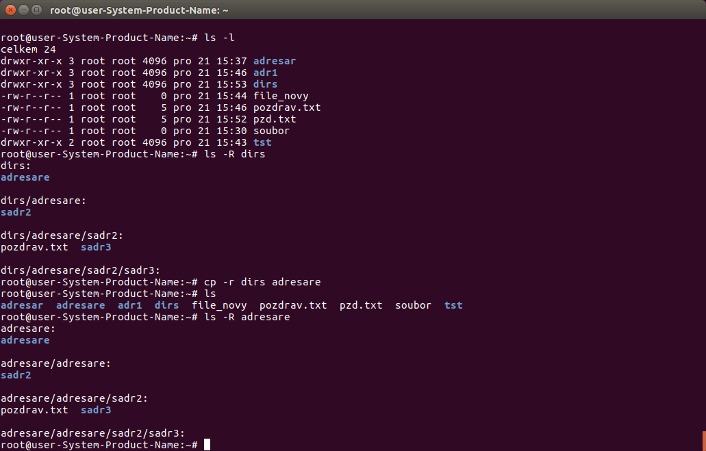 os-linux-18-cp-sub-dir